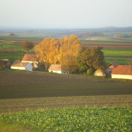 Gaestezimmer Rieder Staatz Exteriér fotografie