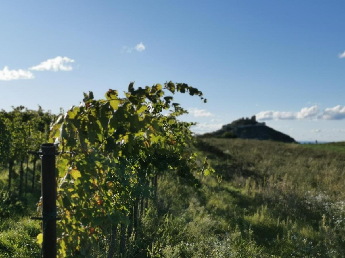 Gaestezimmer Rieder Staatz Exteriér fotografie