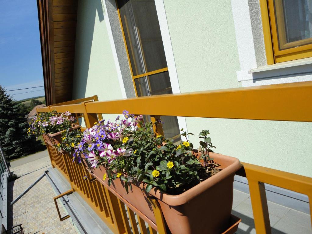 Gaestezimmer Rieder Staatz Pokoj fotografie