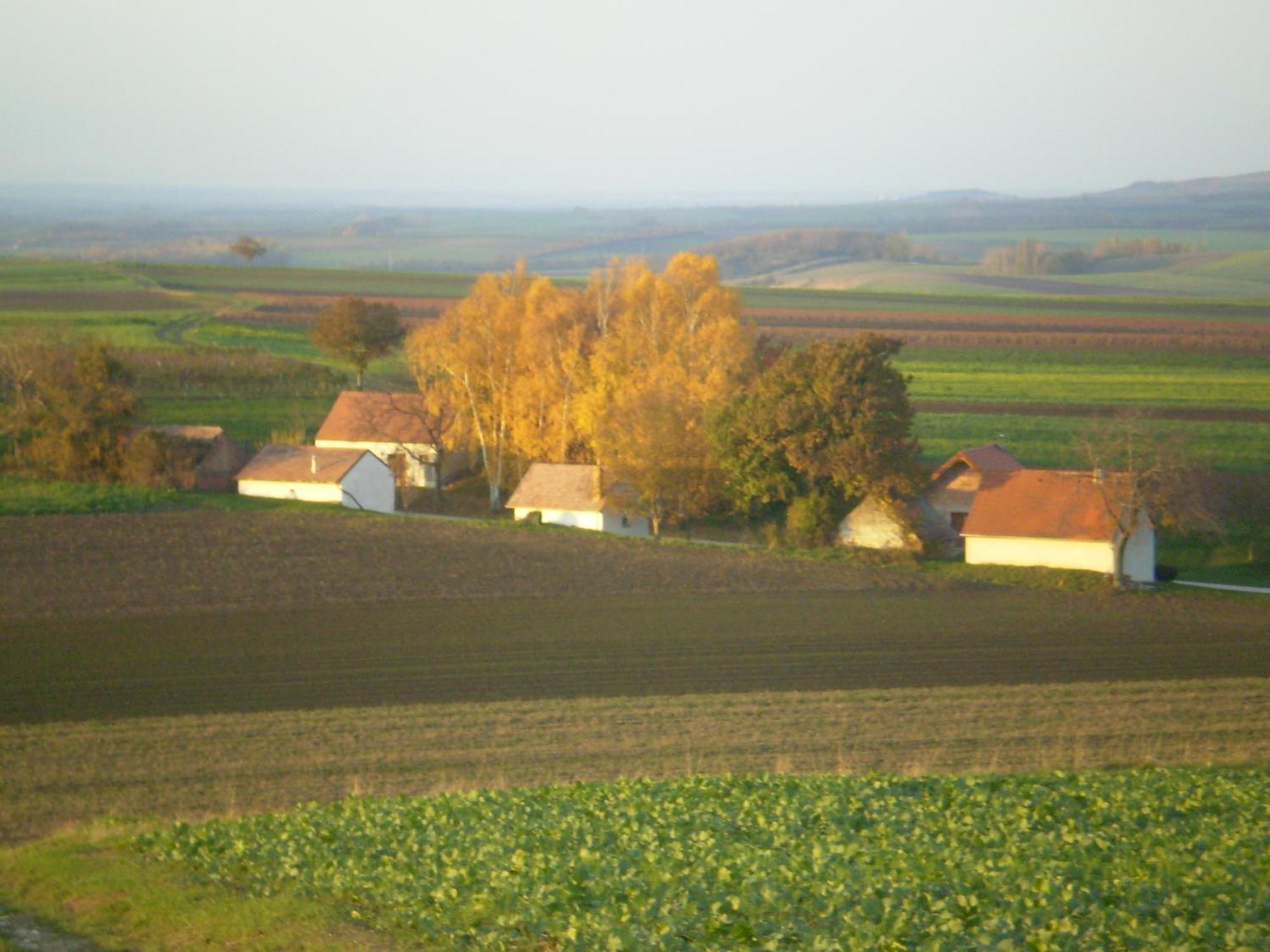 Gaestezimmer Rieder Staatz Exteriér fotografie