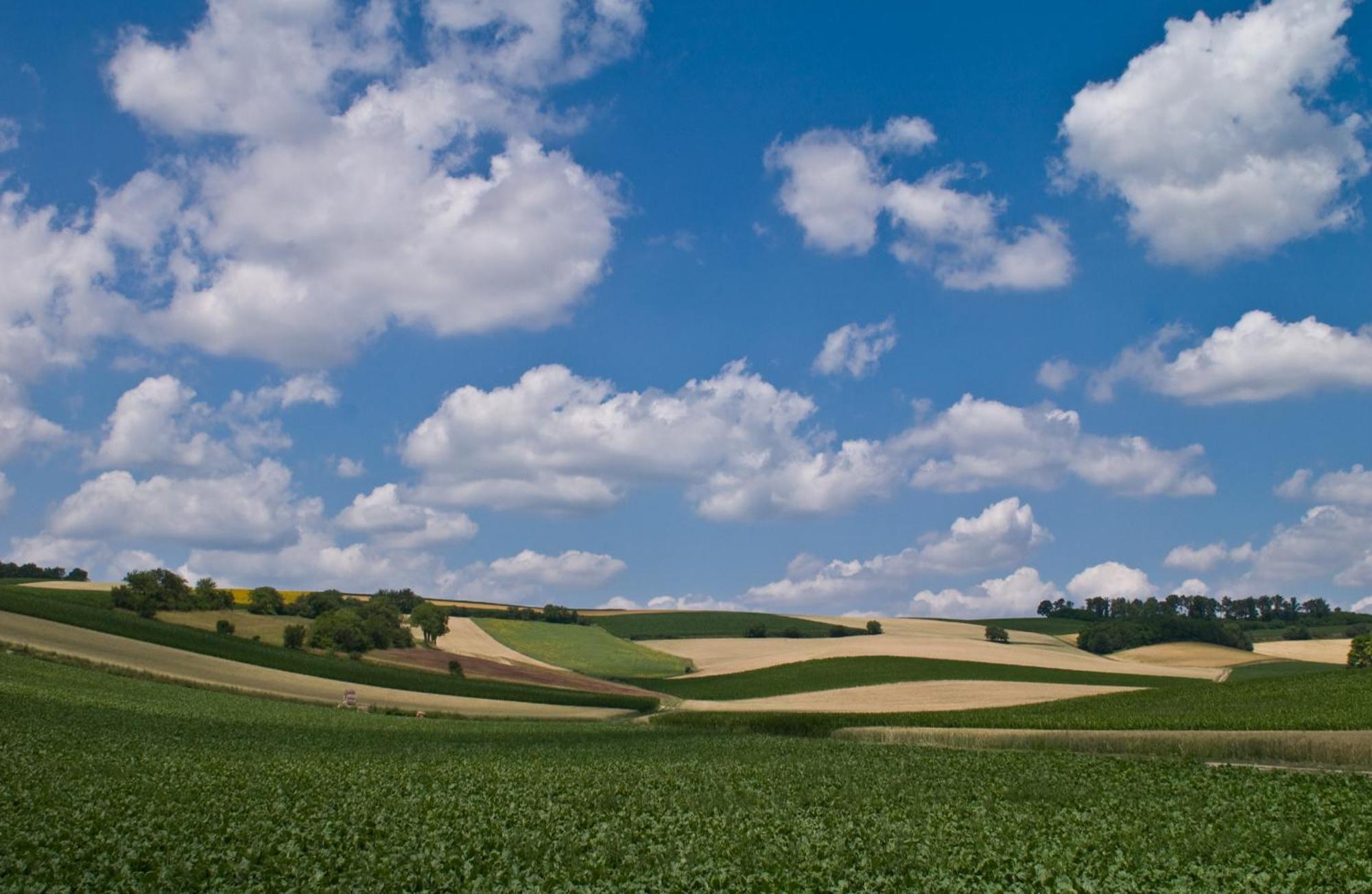 Gaestezimmer Rieder Staatz Exteriér fotografie