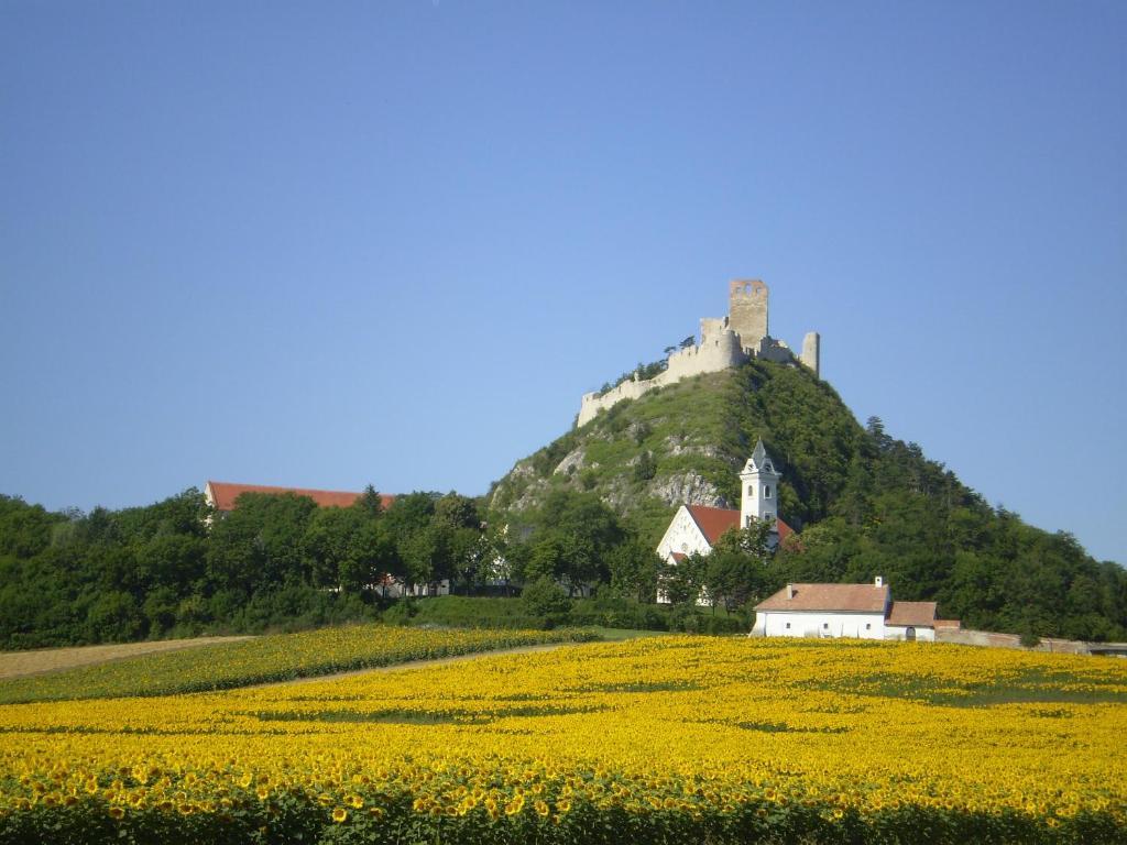 Gaestezimmer Rieder Staatz Exteriér fotografie